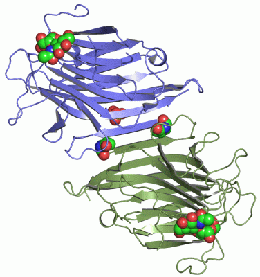 Image Asym./Biol. Unit - manually