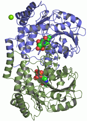 Image Asym./Biol. Unit - manually