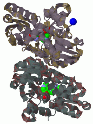 Image Biol.Unit 1 - manually