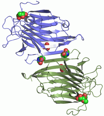 Image Asym./Biol. Unit - manually