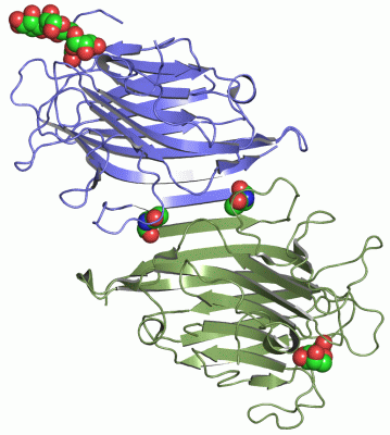 Image Asym./Biol. Unit - manually