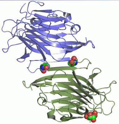 Image Asym./Biol. Unit - manually