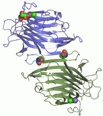 Image Asym./Biol. Unit - manually