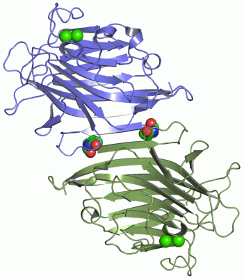 Image Asym./Biol. Unit - manually