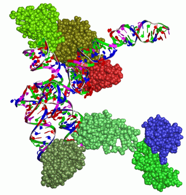 Image Asym./Biol. Unit - manually