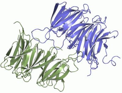 Image Asym./Biol. Unit - manually