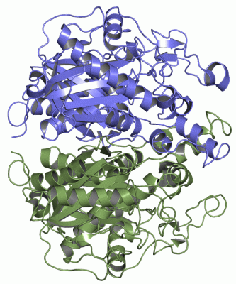 Image Asym./Biol. Unit - manually