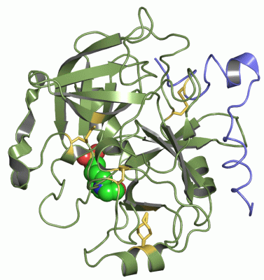 Image Asym./Biol. Unit - manually