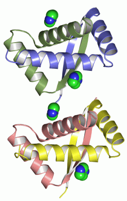 Image Asym.Unit - manually