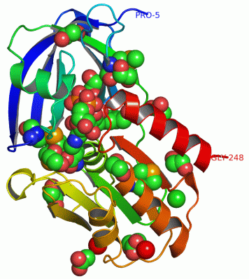 Image Asym./Biol. Unit - manually