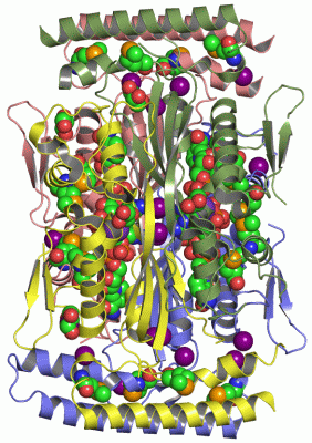 Image Asym./Biol. Unit - manually