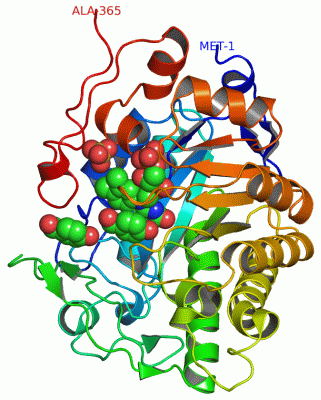 Image Asym./Biol. Unit - manually