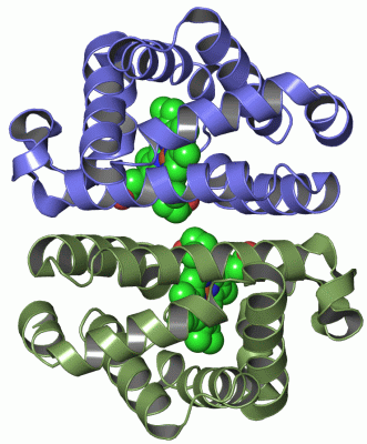 Image Asym./Biol. Unit - manually