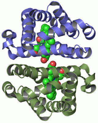 Image Asym./Biol. Unit - manually