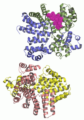 Image Asym./Biol. Unit - manually