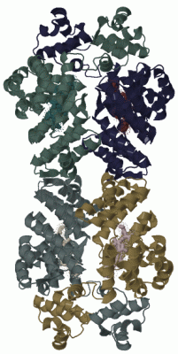 Image Biol.Unit 1 - manually
