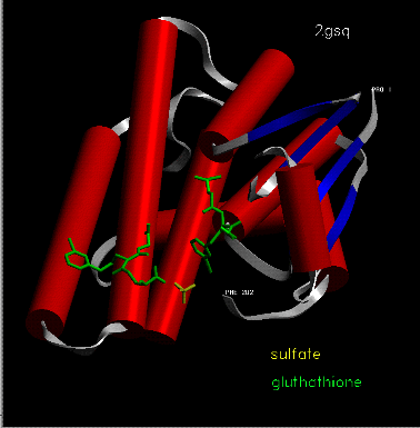 Image Asym.Unit - manually