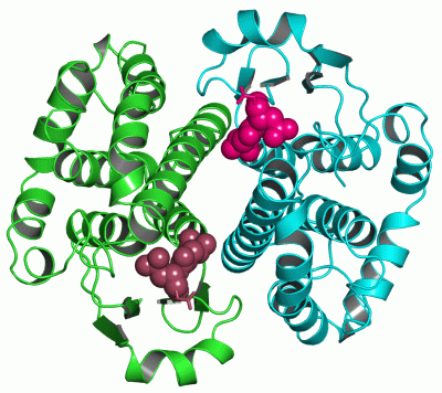 Image Asym./Biol. Unit - manually