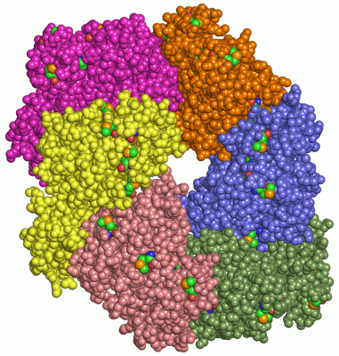 Image Asym./Biol. Unit - manually