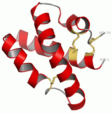 Image Asym./Biol. Unit - manually