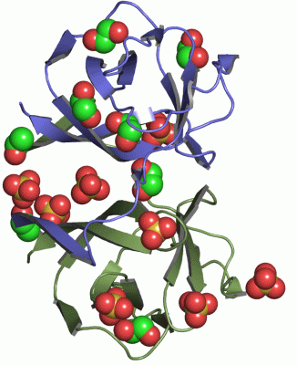 Image Asym./Biol. Unit - manually