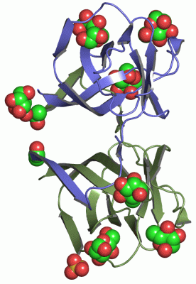 Image Asym./Biol. Unit - manually