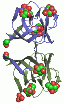 Image Asym./Biol. Unit - manually