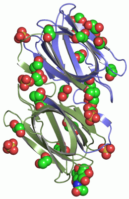 Image Asym./Biol. Unit - manually