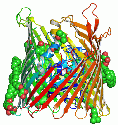 Image Asym./Biol. Unit - manually