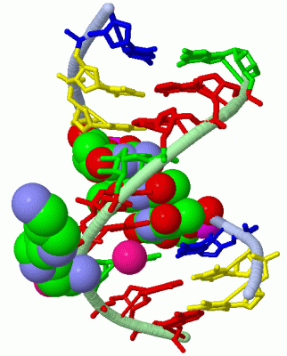 Image Asym./Biol. Unit - manually