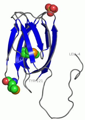 Image Asym.Unit - manually