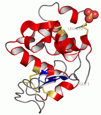 Image Asym./Biol. Unit - manually