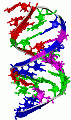 Image NMR Structure - manually