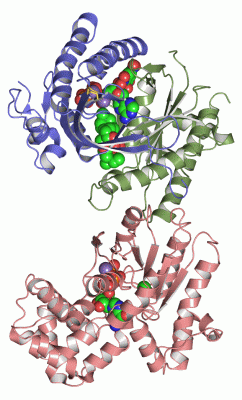 Image Asym./Biol. Unit - manually