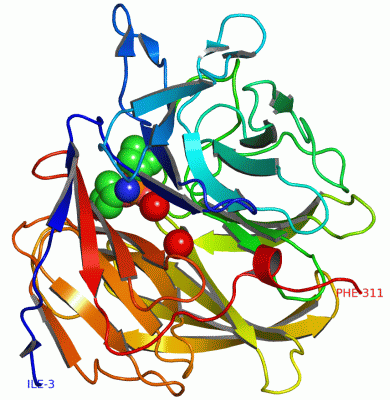 Image Asym./Biol. Unit - manually