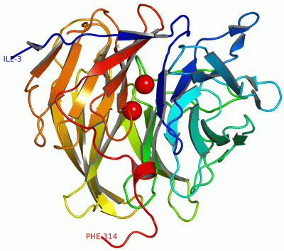 Image Asym./Biol. Unit - manually