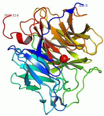 Image Asym./Biol. Unit - manually