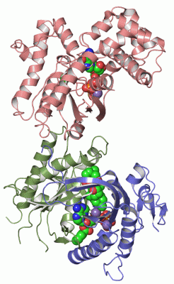 Image Asym./Biol. Unit - manually