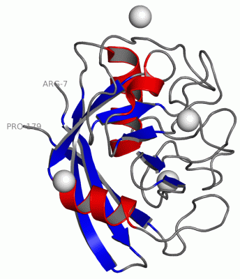 Image Asym./Biol. Unit - manually