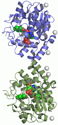 Image Asym./Biol. Unit - manually