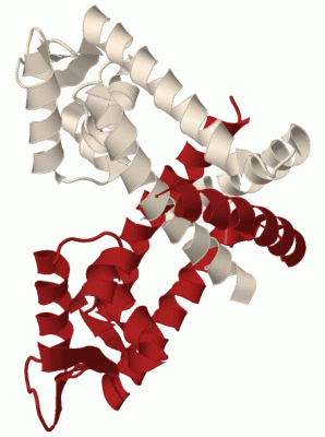 Image Biol.Unit 1 - manually
