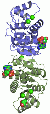 Image Asym./Biol. Unit - manually