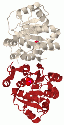 Image Biol.Unit 1 - manually