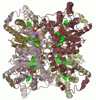 Image Biol.Unit 1 - manually