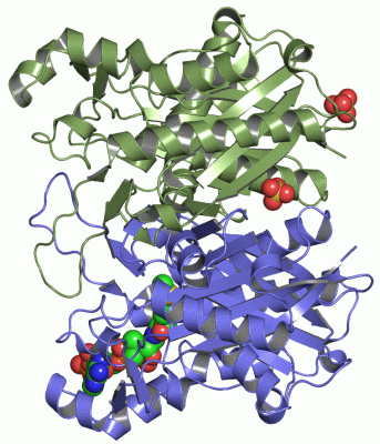 Image Asym./Biol. Unit - manually