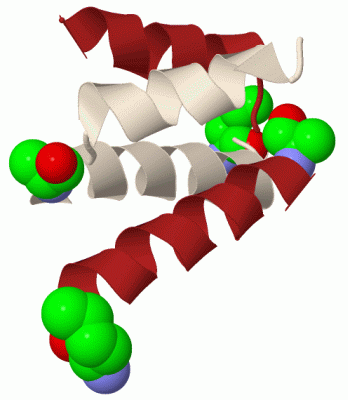 Image Biol.Unit 1 - manually