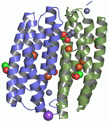 Image Asym./Biol. Unit - manually