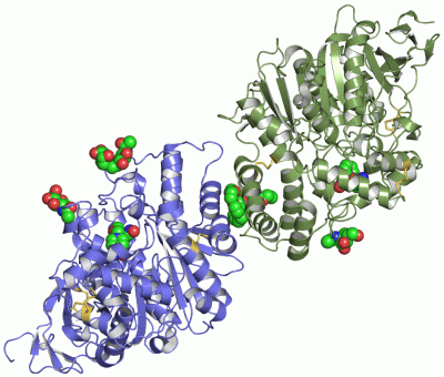 Image Asym./Biol. Unit - manually