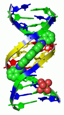 Image Asym./Biol. Unit - manually