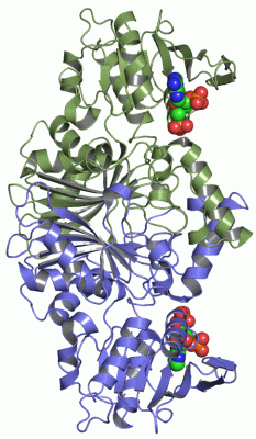 Image Asym./Biol. Unit - manually